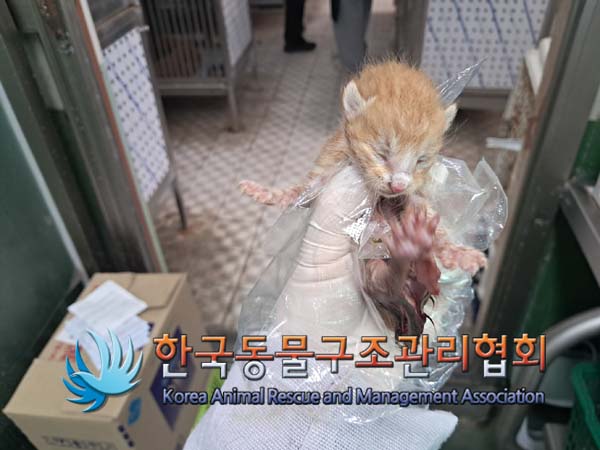 종료(자연사) 한국…